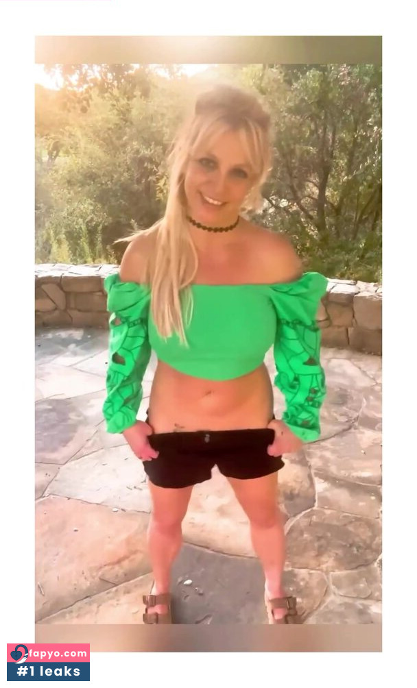 Britney Spears, britneyspears Nude Leaks OnlyFans Photos #1336 - Fapyo
