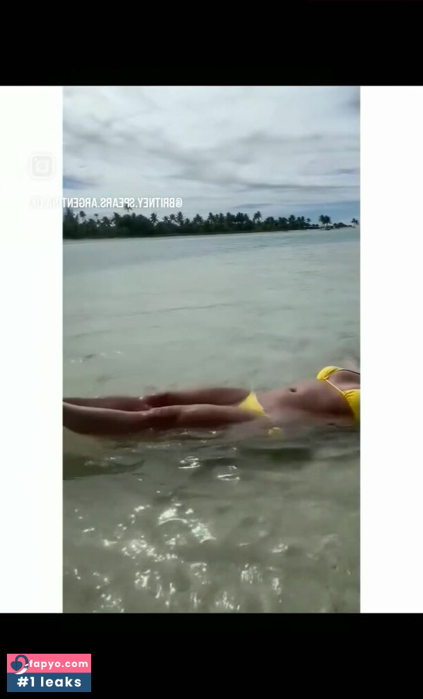 Britney Spears, britneyspears Nude Leaks OnlyFans Photos #1369 - Fapyo