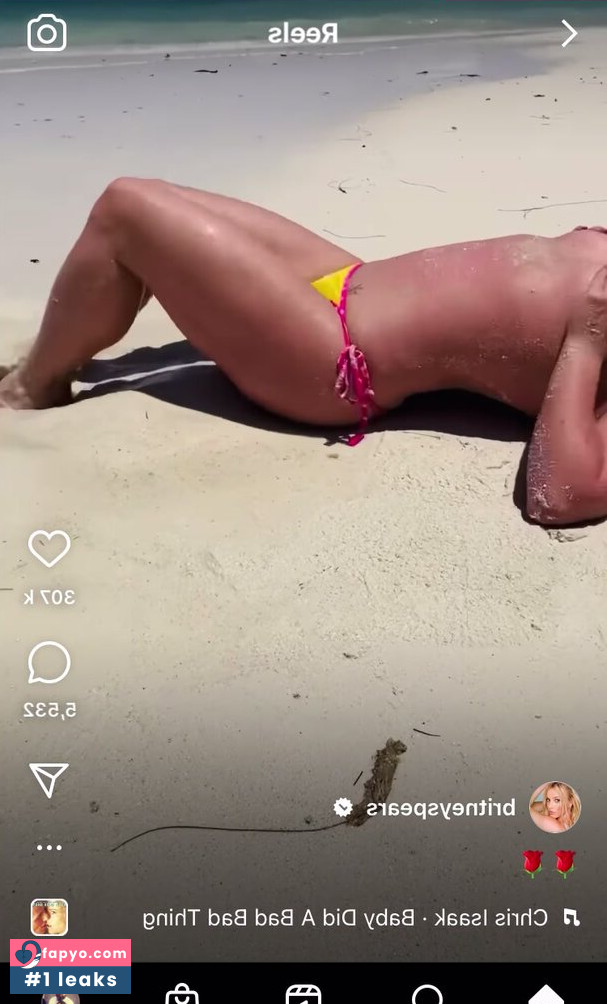 Britney Spears, britneyspears Nude Leaks OnlyFans Photos #1403 - Fapyo